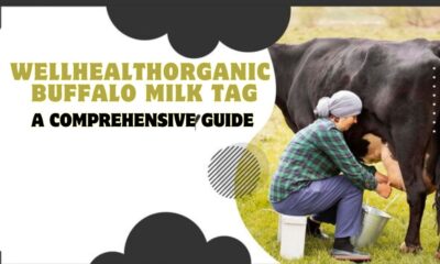 WellHealthOrganic Buffalo Milk Tag